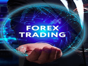 Forex Trading Forex Trading